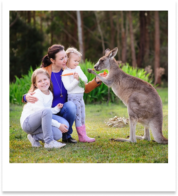 Peaceful walking trails through reserved natural vegetation